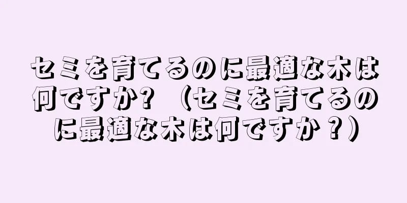 セミを育てるのに最適な木は何ですか? （セミを育てるのに最適な木は何ですか？）