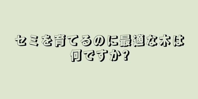 セミを育てるのに最適な木は何ですか?