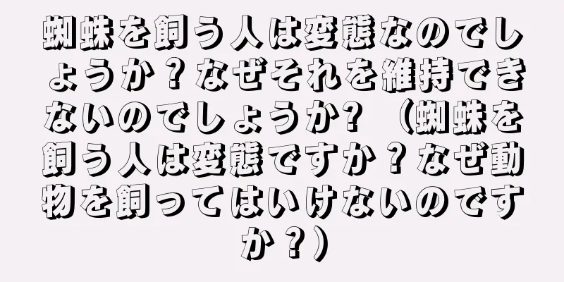 蜘蛛を飼う人は変態なのでしょうか？なぜそれを維持できないのでしょうか? （蜘蛛を飼う人は変態ですか？なぜ動物を飼ってはいけないのですか？）