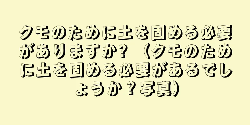クモのために土を固める必要がありますか? （クモのために土を固める必要があるでしょうか？写真）