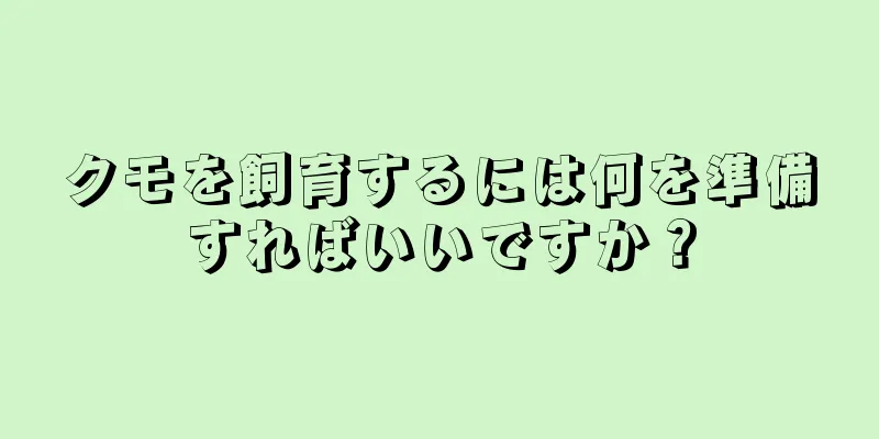 クモを飼育するには何を準備すればいいですか？