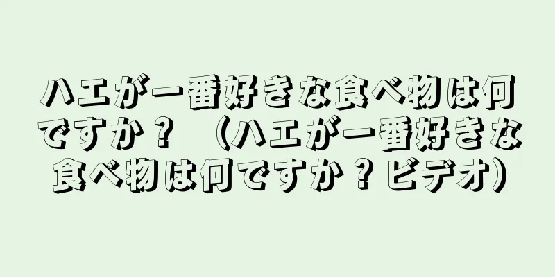 ハエが一番好きな食べ物は何ですか？ （ハエが一番好きな食べ物は何ですか？ビデオ）