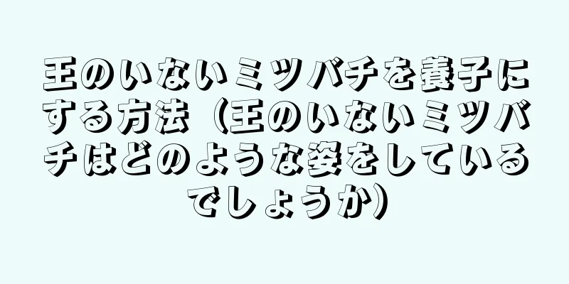 王のいないミツバチを養子にする方法（王のいないミツバチはどのような姿をしているでしょうか）