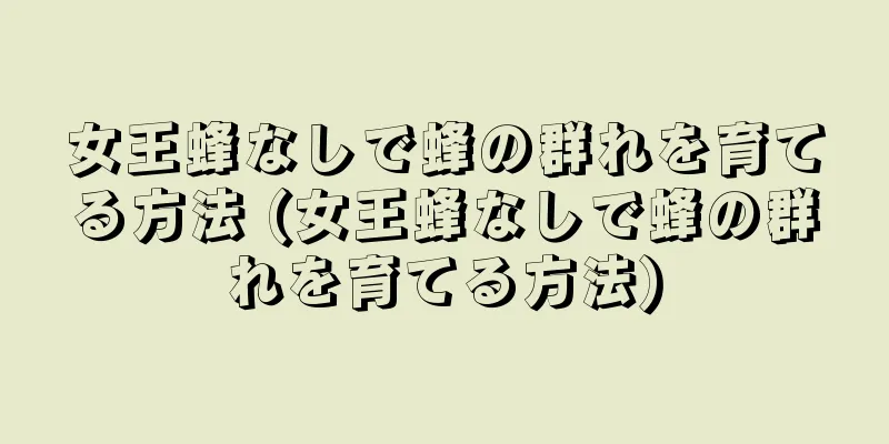 女王蜂なしで蜂の群れを育てる方法 (女王蜂なしで蜂の群れを育てる方法)