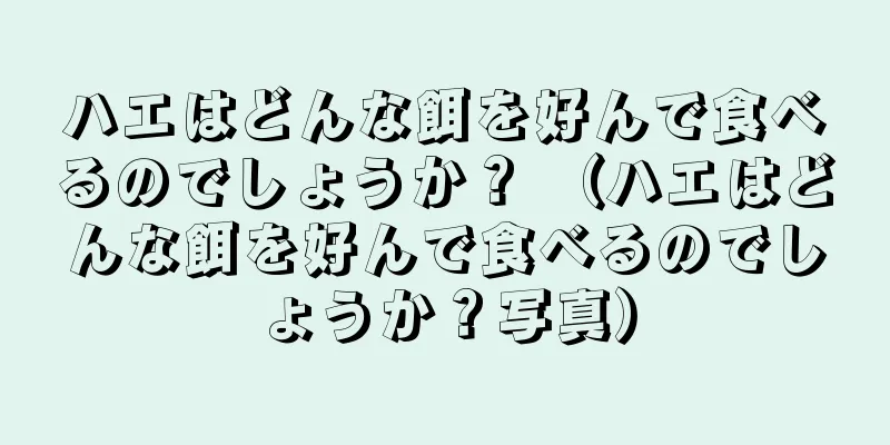 ハエはどんな餌を好んで食べるのでしょうか？ （ハエはどんな餌を好んで食べるのでしょうか？写真）