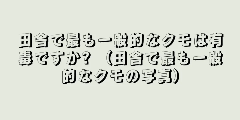 田舎で最も一般的なクモは有毒ですか? （田舎で最も一般的なクモの写真）
