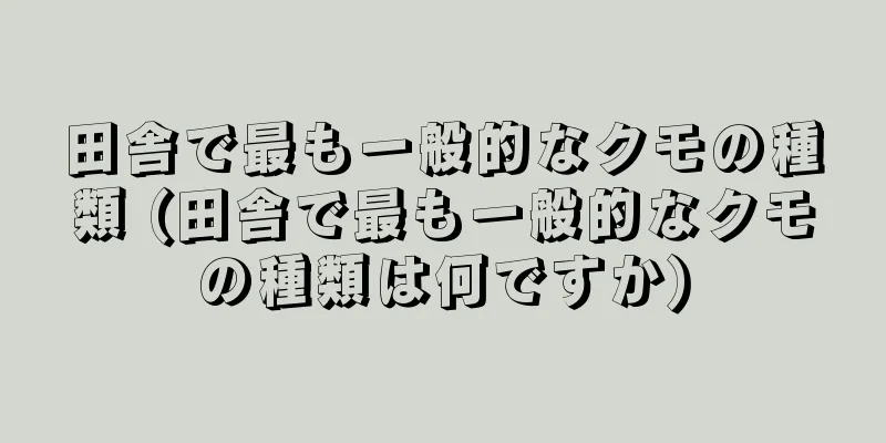 田舎で最も一般的なクモの種類 (田舎で最も一般的なクモの種類は何ですか)