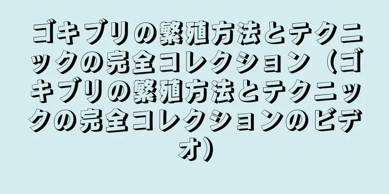 ゴキブリの繁殖方法とテクニックの完全コレクション（ゴキブリの繁殖方法とテクニックの完全コレクションのビデオ）