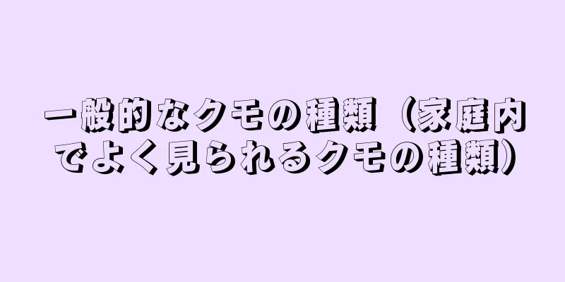 一般的なクモの種類（家庭内でよく見られるクモの種類）