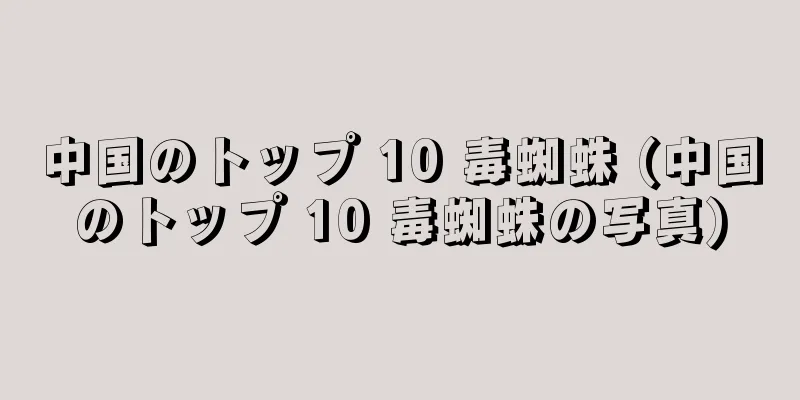 中国のトップ 10 毒蜘蛛 (中国のトップ 10 毒蜘蛛の写真)