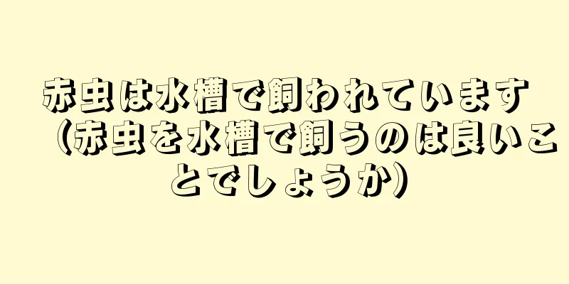赤虫は水槽で飼われています（赤虫を水槽で飼うのは良いことでしょうか）