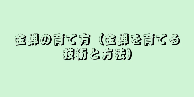 金蝉の育て方（金蝉を育てる技術と方法）
