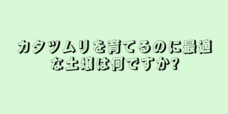 カタツムリを育てるのに最適な土壌は何ですか?