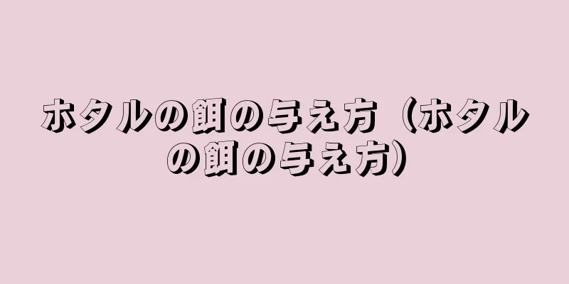ホタルの餌の与え方（ホタルの餌の与え方）