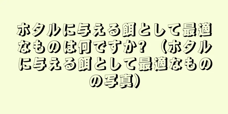 ホタルに与える餌として最適なものは何ですか? （ホタルに与える餌として最適なものの写真）
