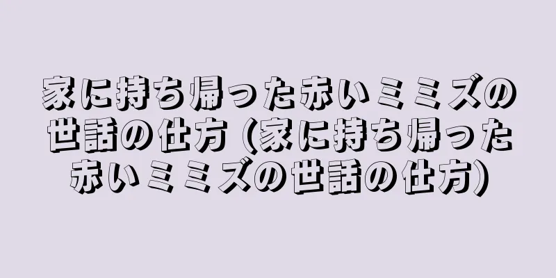 家に持ち帰った赤いミミズの世話の仕方 (家に持ち帰った赤いミミズの世話の仕方)
