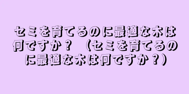 セミを育てるのに最適な木は何ですか？ （セミを育てるのに最適な木は何ですか？）