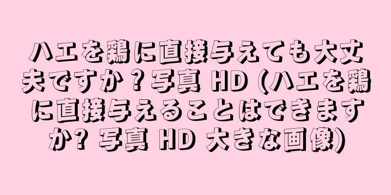 ハエを鶏に直接与えても大丈夫ですか？写真 HD (ハエを鶏に直接与えることはできますか? 写真 HD 大きな画像)