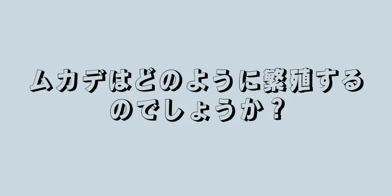 ムカデはどのように繁殖するのでしょうか？