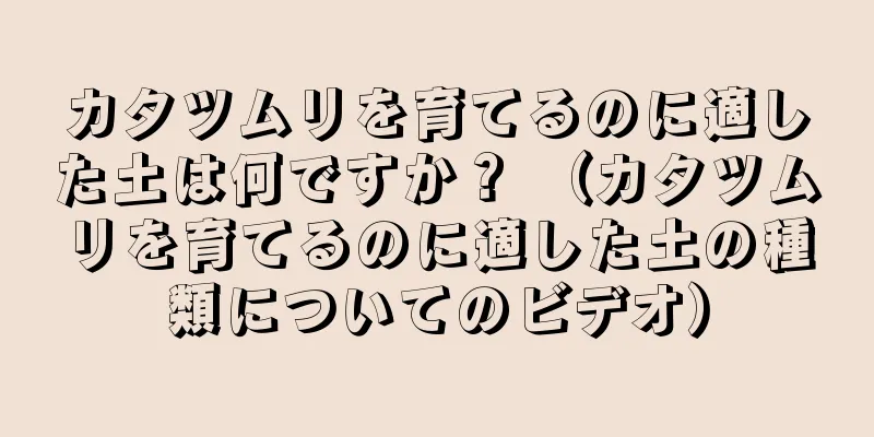 カタツムリを育てるのに適した土は何ですか？ （カタツムリを育てるのに適した土の種類についてのビデオ）