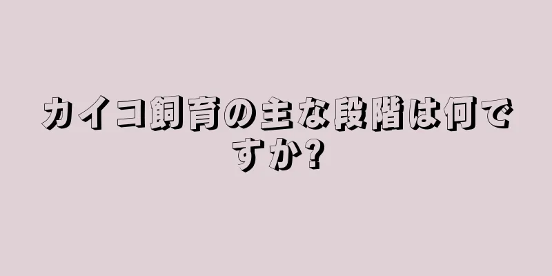 カイコ飼育の主な段階は何ですか?