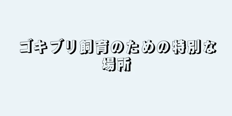 ゴキブリ飼育のための特別な場所