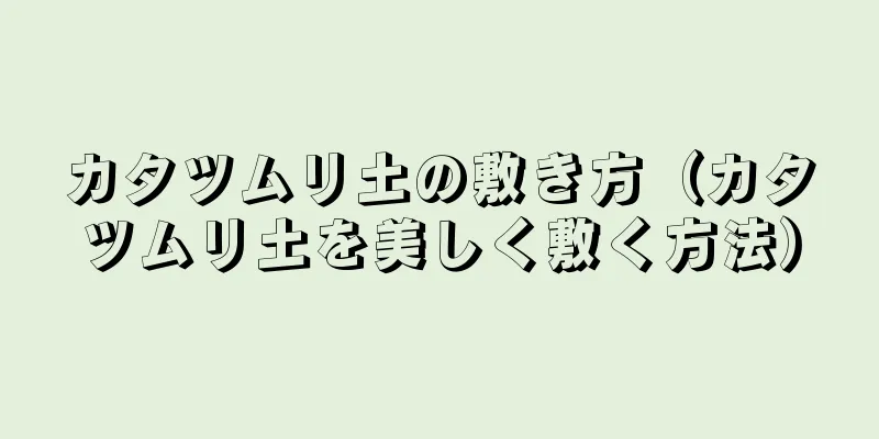 カタツムリ土の敷き方（カタツムリ土を美しく敷く方法）