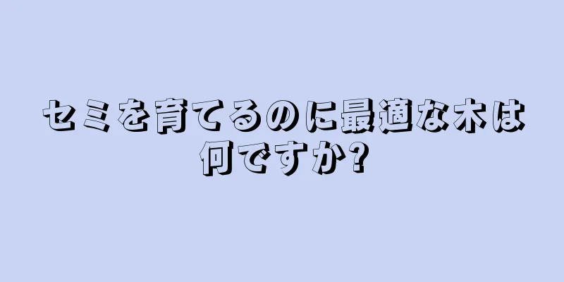 セミを育てるのに最適な木は何ですか?