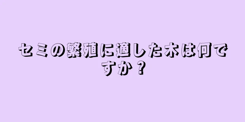 セミの繁殖に適した木は何ですか？