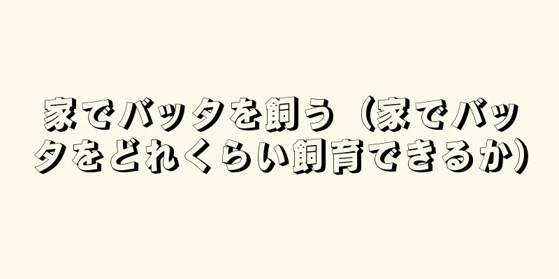 家でバッタを飼う（家でバッタをどれくらい飼育できるか）