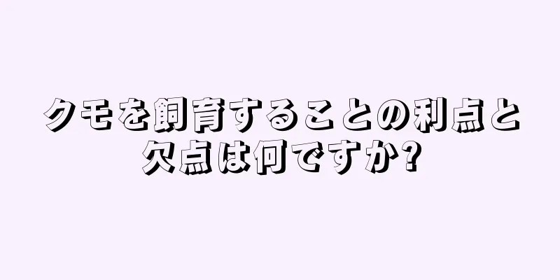 クモを飼育することの利点と欠点は何ですか?