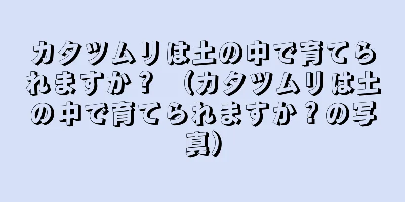 カタツムリは土の中で育てられますか？ （カタツムリは土の中で育てられますか？の写真）