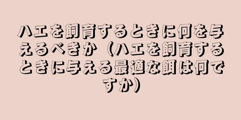 ハエを飼育するときに何を与えるべきか（ハエを飼育するときに与える最適な餌は何ですか）