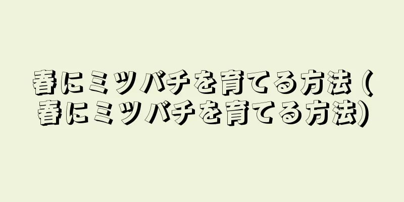 春にミツバチを育てる方法 (春にミツバチを育てる方法)