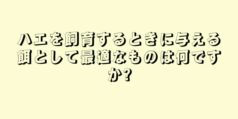 ハエを飼育するときに与える餌として最適なものは何ですか?