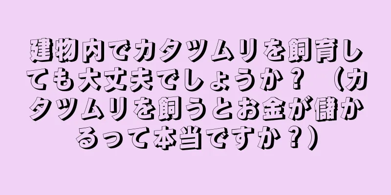 建物内でカタツムリを飼育しても大丈夫でしょうか？ （カタツムリを飼うとお金が儲かるって本当ですか？）