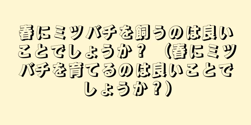 春にミツバチを飼うのは良いことでしょうか？ （春にミツバチを育てるのは良いことでしょうか？）