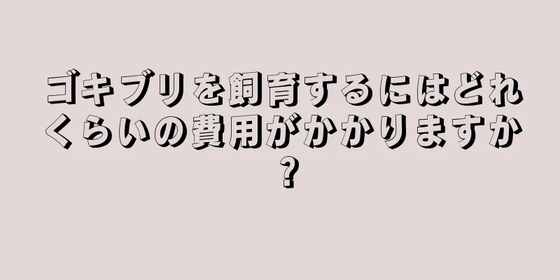 ゴキブリを飼育するにはどれくらいの費用がかかりますか？