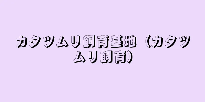 カタツムリ飼育基地（カタツムリ飼育）