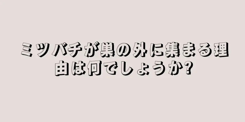 ミツバチが巣の外に集まる理由は何でしょうか?