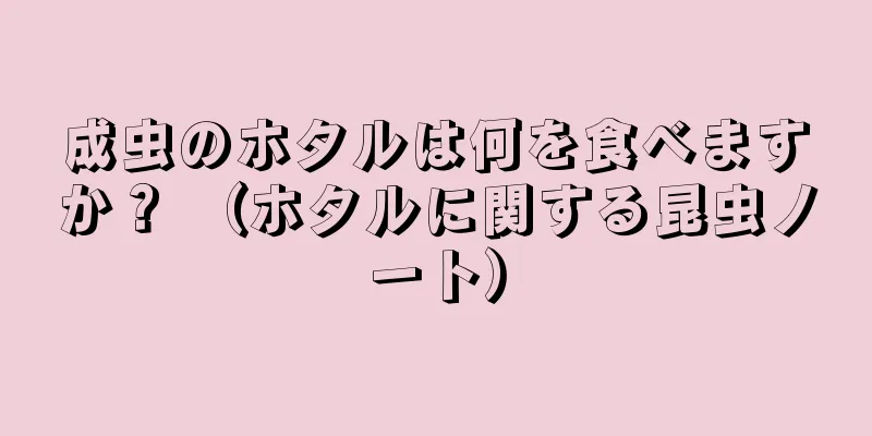 成虫のホタルは何を食べますか？ （ホタルに関する昆虫ノート）