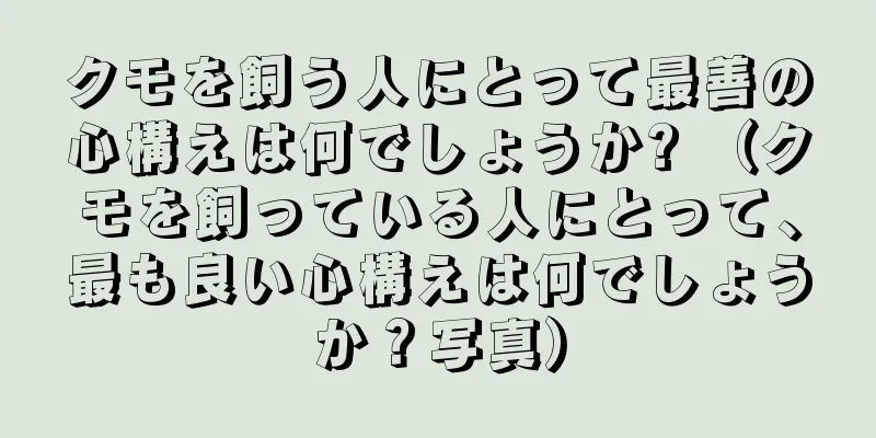 クモを飼う人にとって最善の心構えは何でしょうか? （クモを飼っている人にとって、最も良い心構えは何でしょうか？写真）