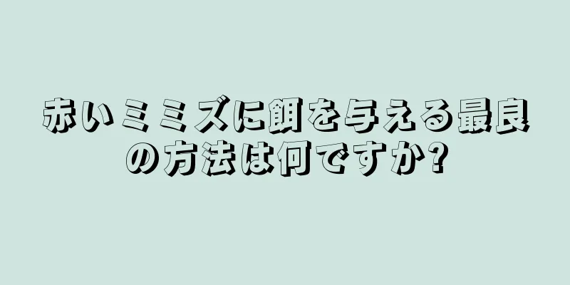 赤いミミズに餌を与える最良の方法は何ですか?