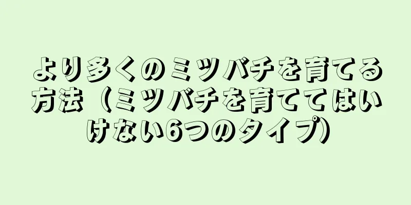 より多くのミツバチを育てる方法（ミツバチを育ててはいけない6つのタイプ）