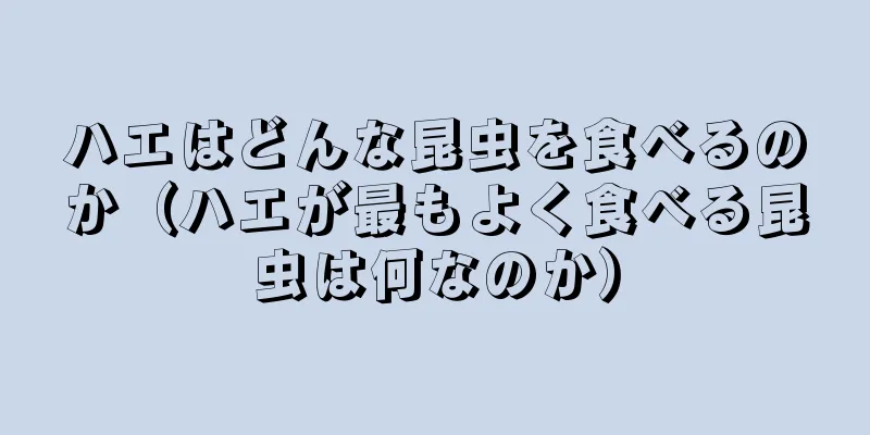 ハエはどんな昆虫を食べるのか（ハエが最もよく食べる昆虫は何なのか）