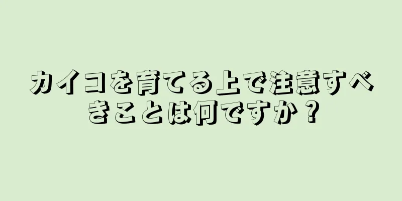 カイコを育てる上で注意すべきことは何ですか？