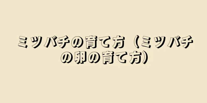 ミツバチの育て方（ミツバチの卵の育て方）
