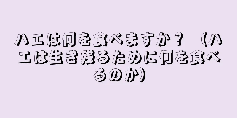 ハエは何を食べますか？ （ハエは生き残るために何を食べるのか）