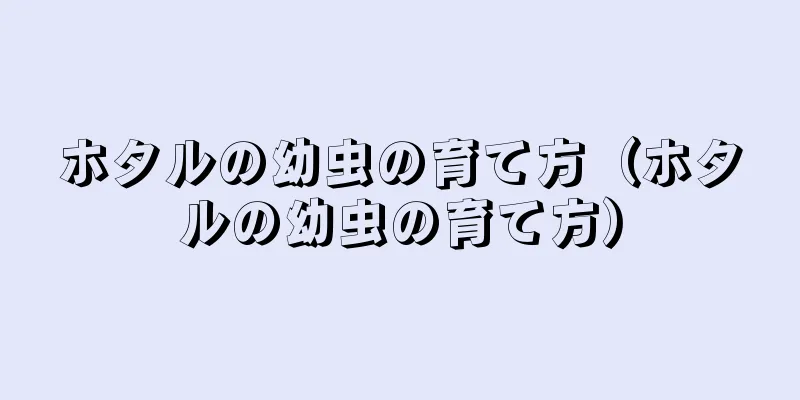 ホタルの幼虫の育て方（ホタルの幼虫の育て方）