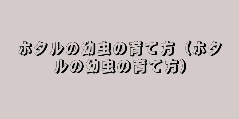 ホタルの幼虫の育て方（ホタルの幼虫の育て方）